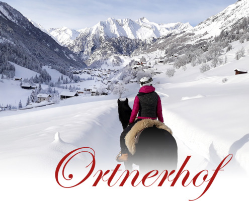 Ortnerhof / Winterreiten
