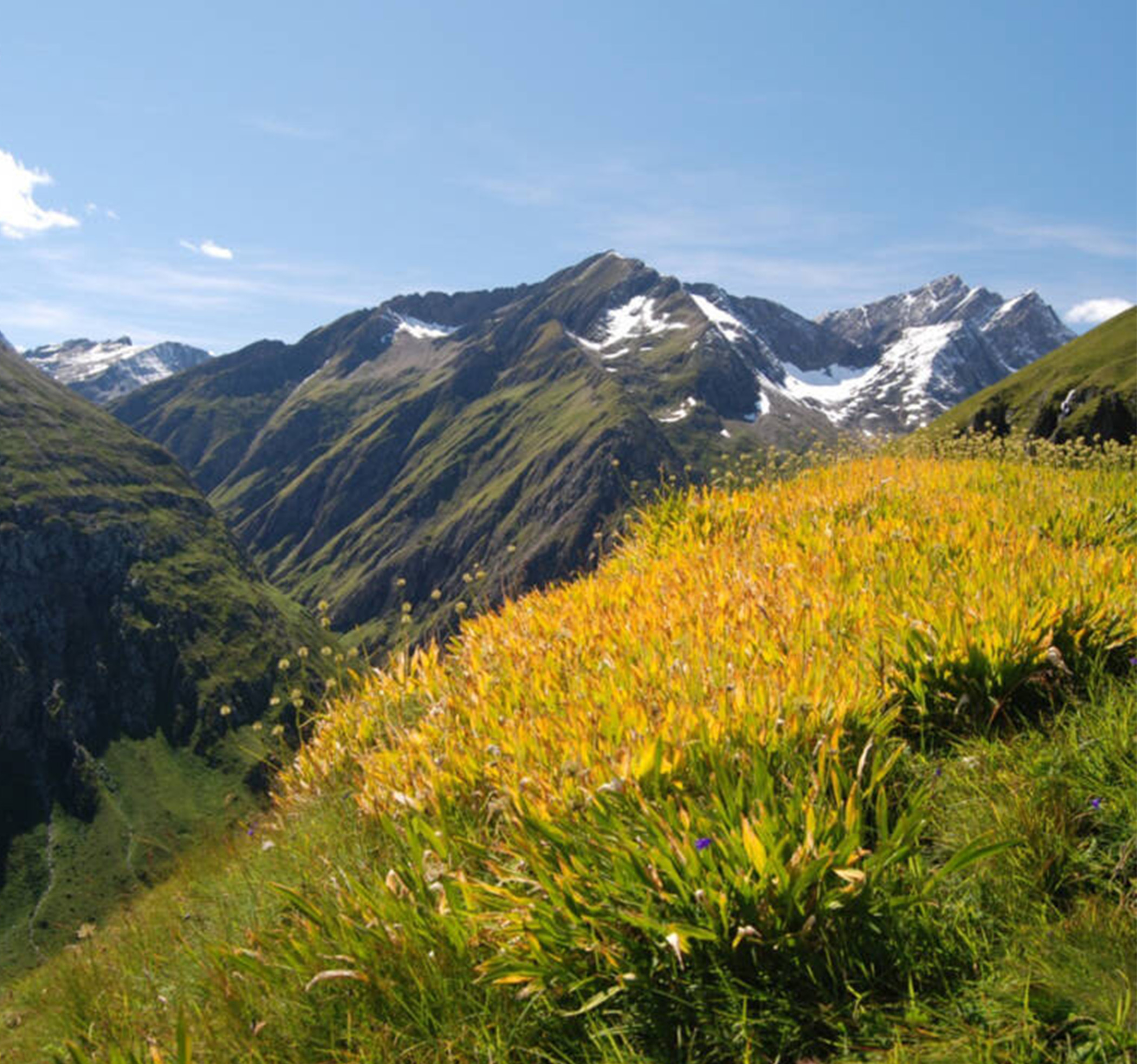 Ortnerhof mountains autumn
